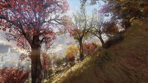 Nw ls landscape.jpg