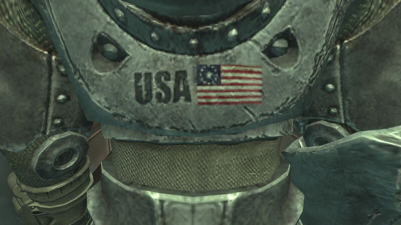 Fichier:OA T51b worn US flag.jpg