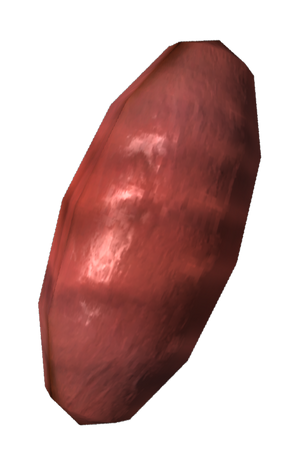 Oeuf de fourmi de feu.png