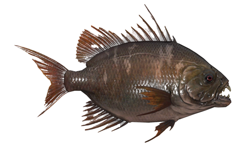 Fichier:Poisson Aileron scie alpin.png