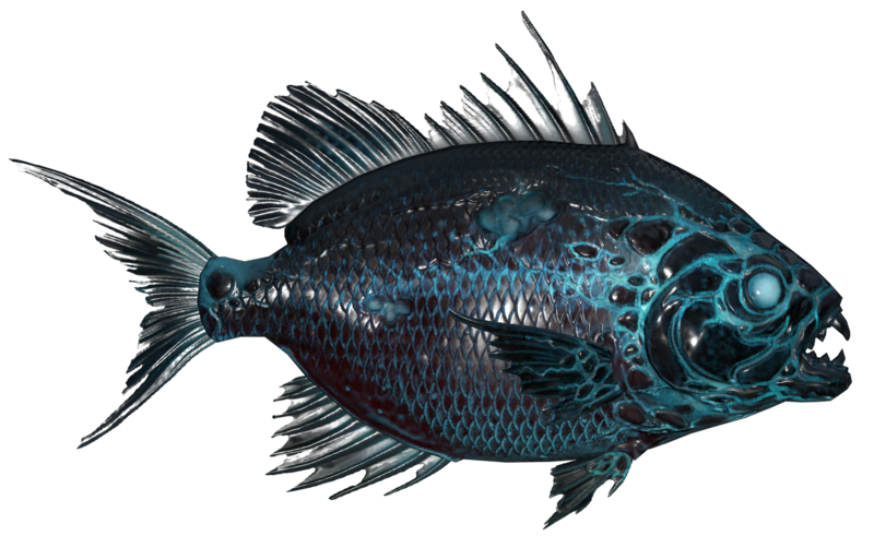 Fichier:Poisson Aileron scie statique.png