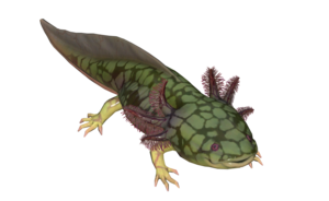 Poisson Axolotl ecailleux.png