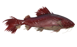 Poisson Broyeur d organes.png