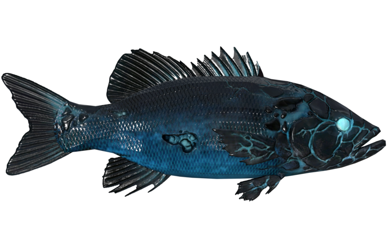 Fichier:Poisson Electrocutien aileron bleu.png