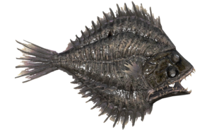 Poisson Embuscade cendree.png