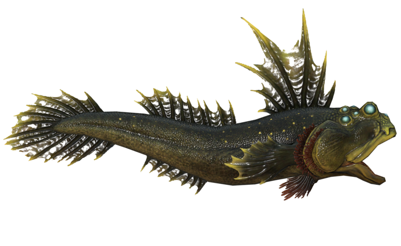 Fichier:Poisson Lutjan.png