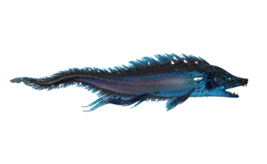 Poisson Nagetempete.png