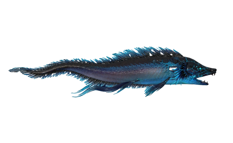 Fichier:Poisson Nagetempete.png