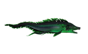 Poisson Nagetempete luminescent.png