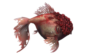 Poisson Poisson cloque.png