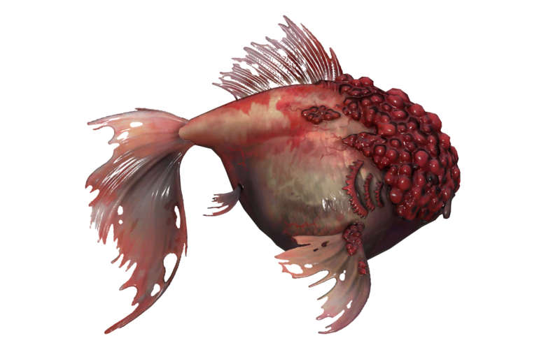 Fichier:Poisson Poisson cloque.png