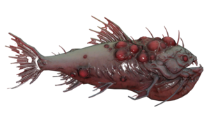 Poisson Rodeur des marais.png
