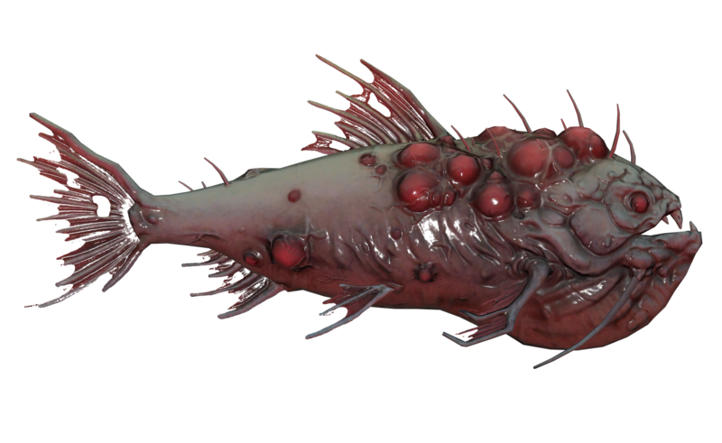 Fichier:Poisson Rodeur des marais.png