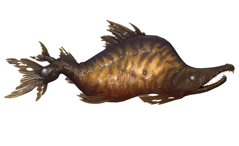 Fichier:Poisson Rondouillard de Kelt.png