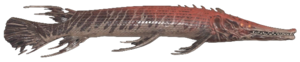 Poisson Tornade de Hocking Hill.png
