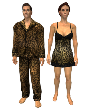 Pour toute la nuit... (Fallout 3).png