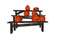 "Half full" pumpkin rack