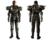 Protection bouclier gamma (Fallout 3).png