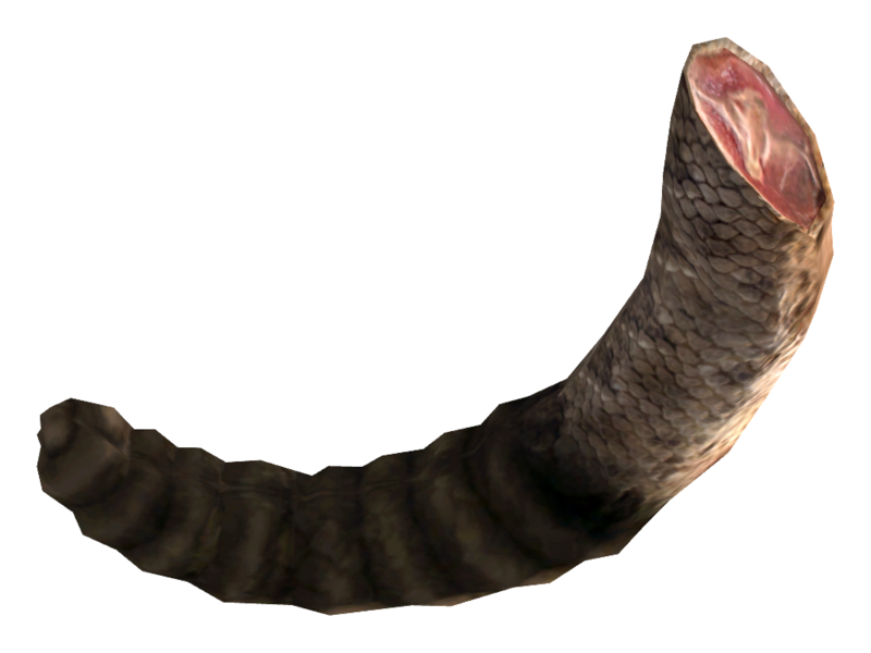 Fichier:Queue de Croc.png