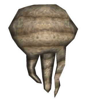 Racine de xandre.png