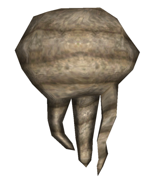 Fichier:Racine de xandre.png