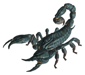 Radscorpion.png
