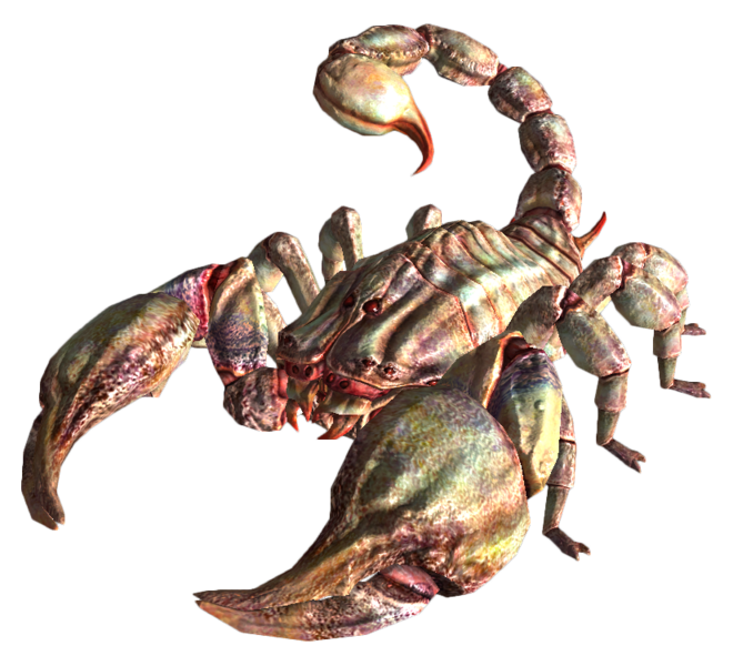 Fichier:Radscorpion albinos.png