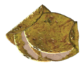 Vignette pour Fichier:Radscorpion egg omelette.png