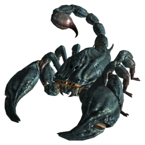 Radscorpion geant.png