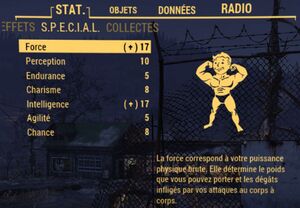 STAT.JPG