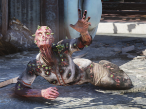 Scorched Plague FO76.png