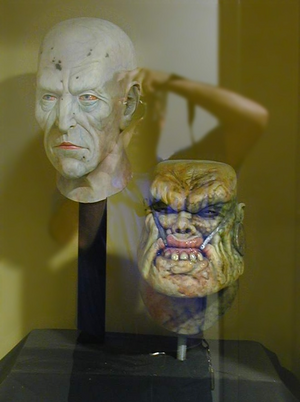 Têtes parlantes en vitrine.png