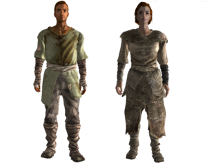 Tenue d'habitant des Terres désolées (Fallout 3).png