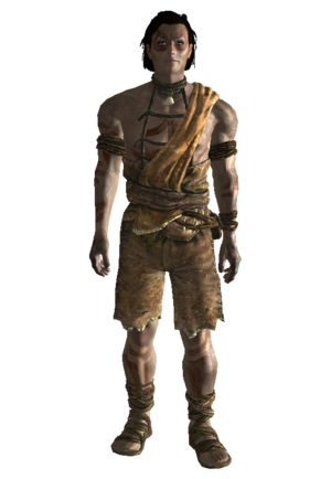 Tenue tribale (Fallout 3).png