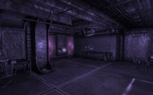 Vault 106 hallucination term1 LQ.jpg