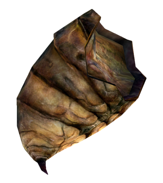 Fichier:Viande de fourmi.png