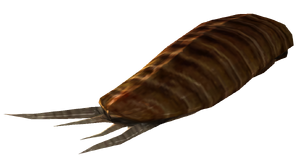 Viande de radcafard.png
