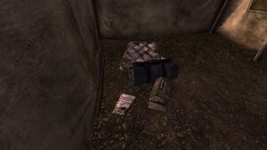 WSGMesquiteMountainscampsite.jpg