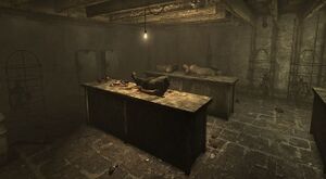 Wilson basement.jpg